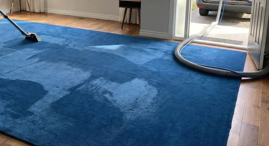 Extraction wand pulling water out of a wet blue area rug
