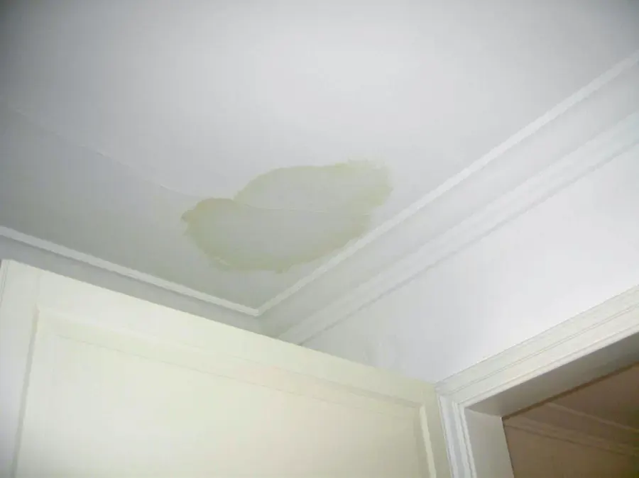 Water stain spreading across a white ceiling near a crown molding corner