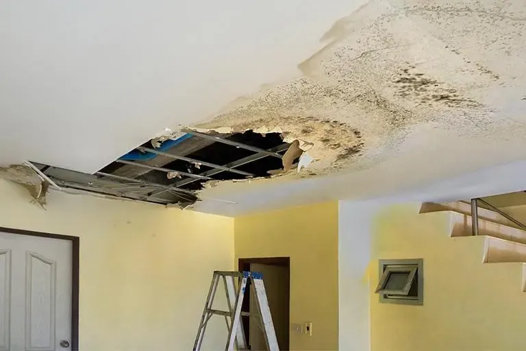 Collapsed section of a water-stained ceiling with a stepladder below